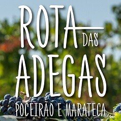 rota_adegas
