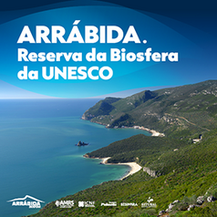 site_turismo_botao_278x278px_1_238_238_f_0_0