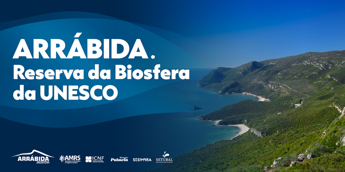 site_turismo_banner_1152x576px_1_1200_600